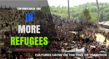 Bangladesh's Refugee Capacity: Challenges and Opportunities for Expansion
