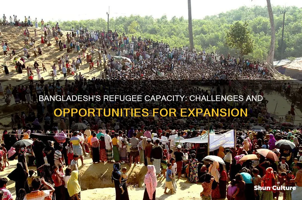 can bangladesh take in more refugees