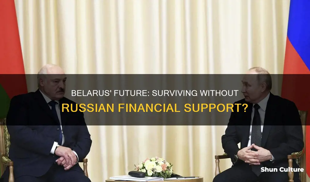 can belarus survive without russian subsidies