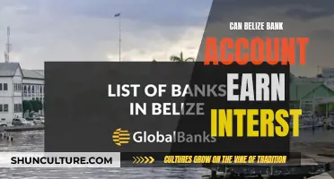 Belize Bank Accounts: Earn Interest on Your Money