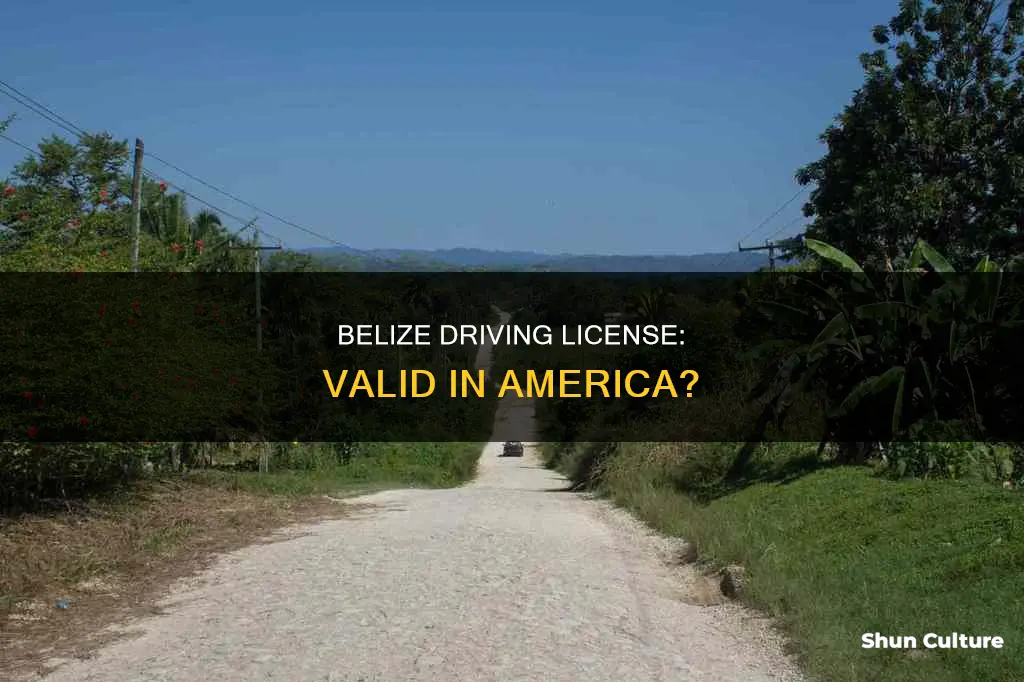 can belize driving license work in america