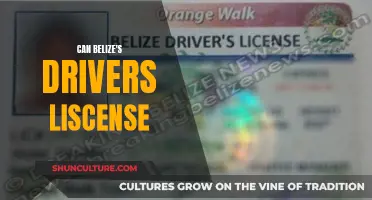 Belize's Driver's License: What You Need to Know