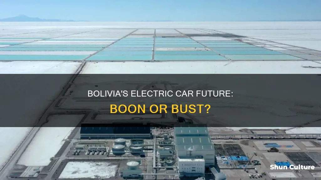 can bolivia gain from boon in electric cars