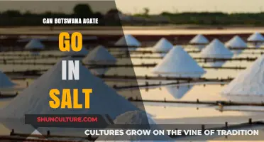 Can Botswana Agate Be Cleansed with Salt? A Gemstone Guide