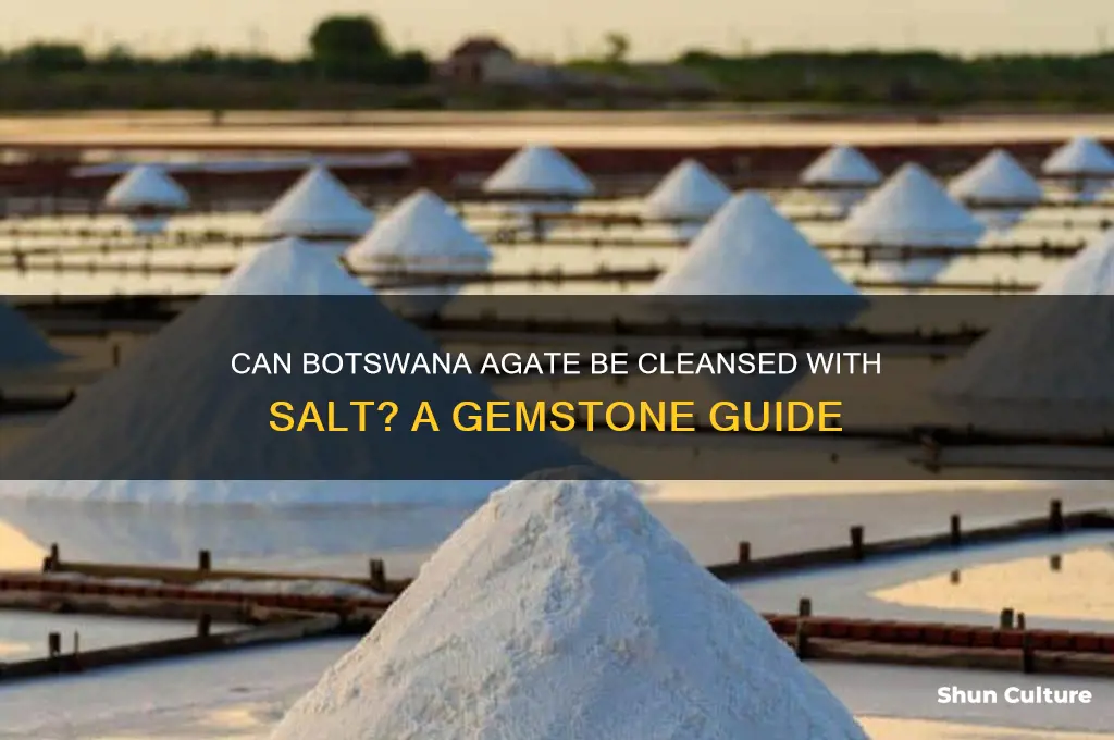can botswana agate go in salt