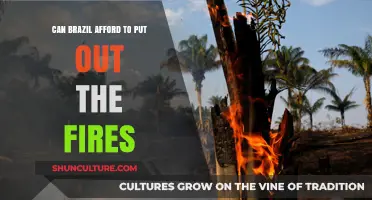 Brazil's Burning Crisis: Can the Nation Afford to Extinguish the Flames?