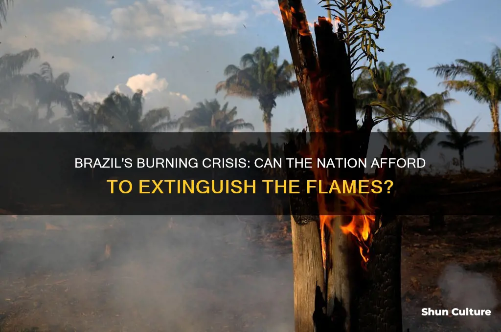 can brazil afford to put out the fires