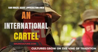 Brazil's Legal Reach: Can It Prosecute International Cartels Effectively?