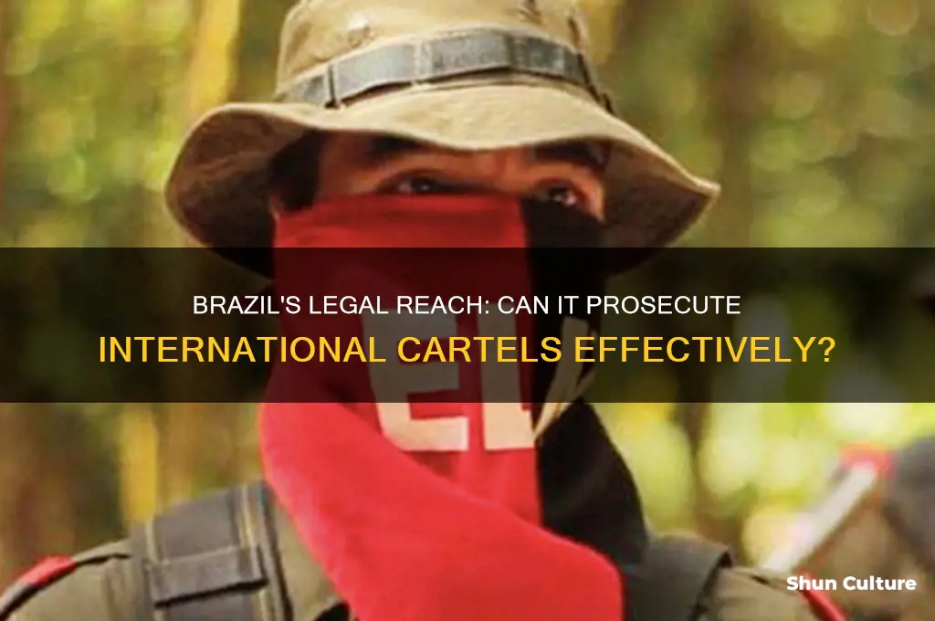 can brazil asses jurisdiction over an international cartel