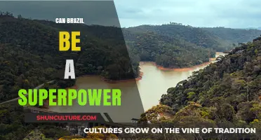 Brazil's Rise: Potential Superpower or Regional Leader?