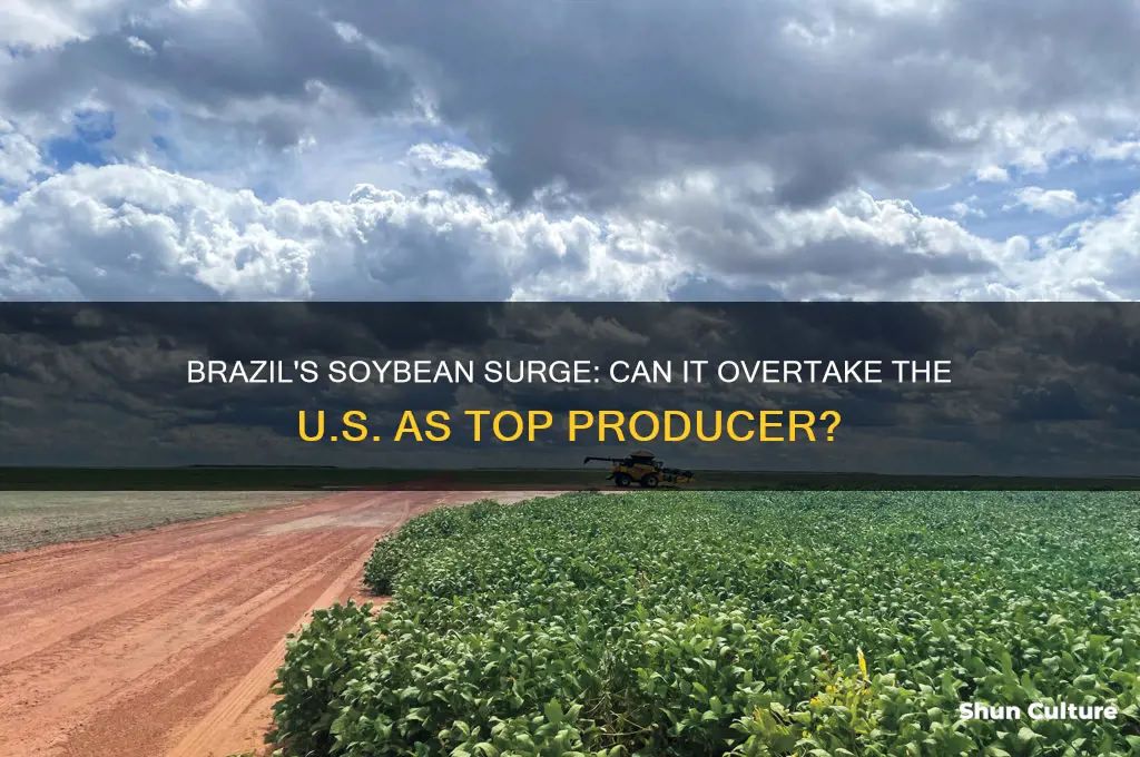 can brazil be largest soybean producer in the world usda