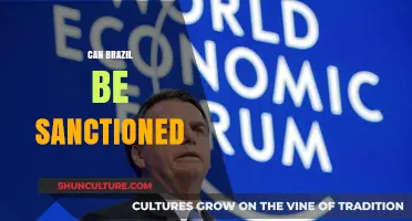 Can Brazil Face International Sanctions? Exploring Legal and Political Implications
