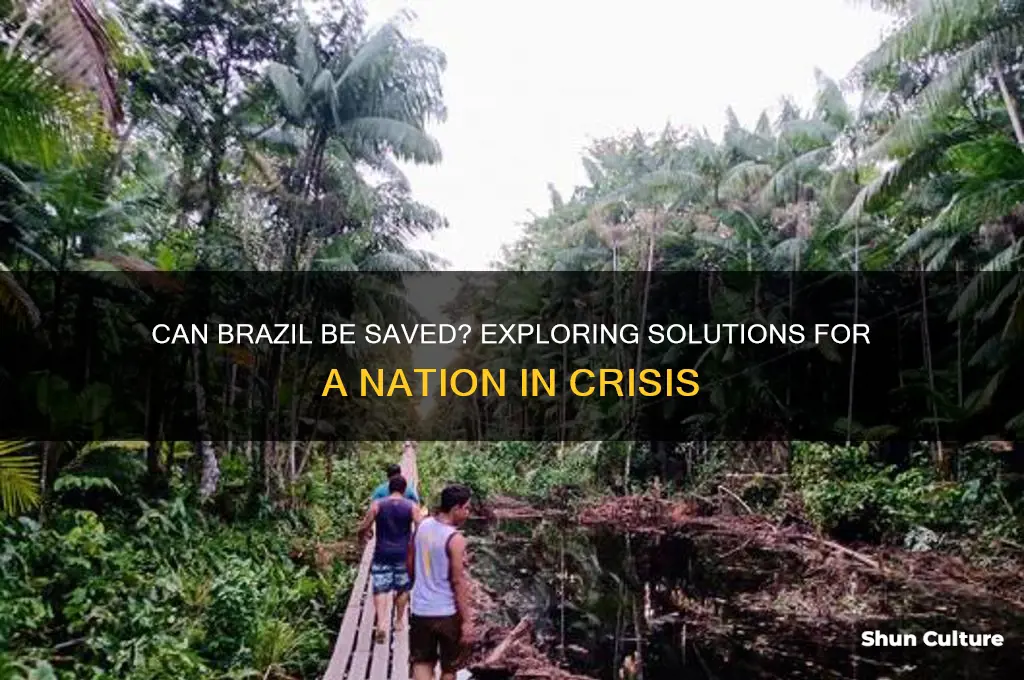 can brazil be saved