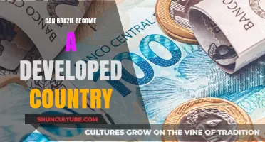 Brazil's Path to Development: Challenges, Opportunities, and Future Prospects