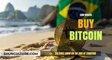 Can Brazil Buy Bitcoin? Exploring Legal and Practical Aspects