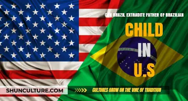 Can Brazil Extradite a U.S.-Based Father of a Brazilian Child?