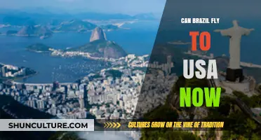 Can Brazilians Travel to the USA Now? Latest Updates and Guidelines