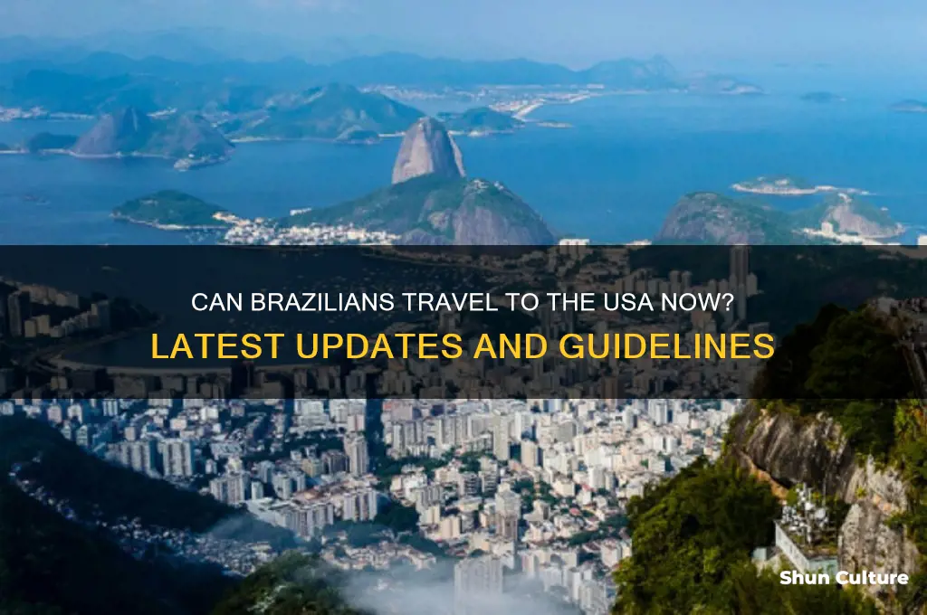 can brazil fly to usa now