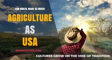 Brazil vs. USA: Can Brazil Match US Agricultural Output?