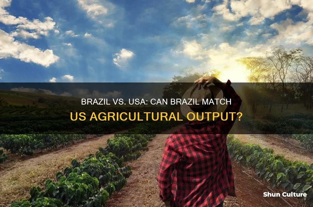 can brazil make as much agriculture as usa