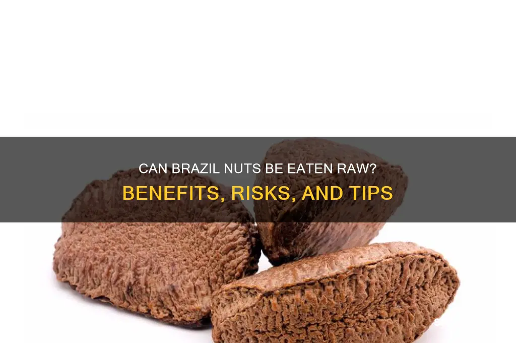 can brazil nut be eaten raw