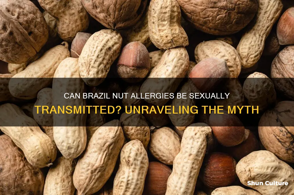 can brazil nut be sexually transmitted allergy