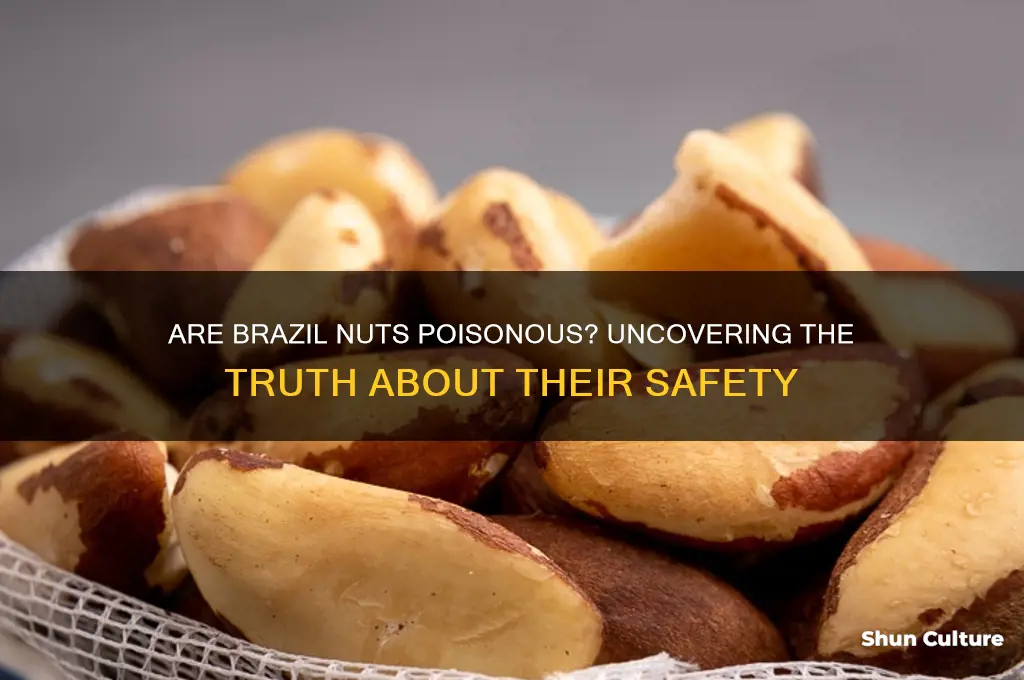 can brazil nuts be poisonous