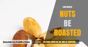Roasting Brazil Nuts: Tips, Benefits, and Perfect Crunch Methods