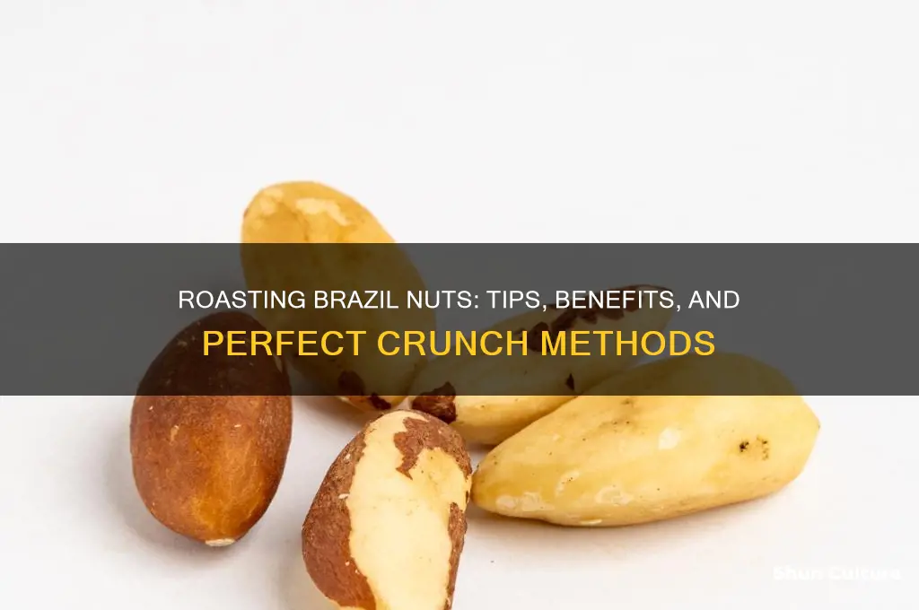 can brazil nuts be roasted