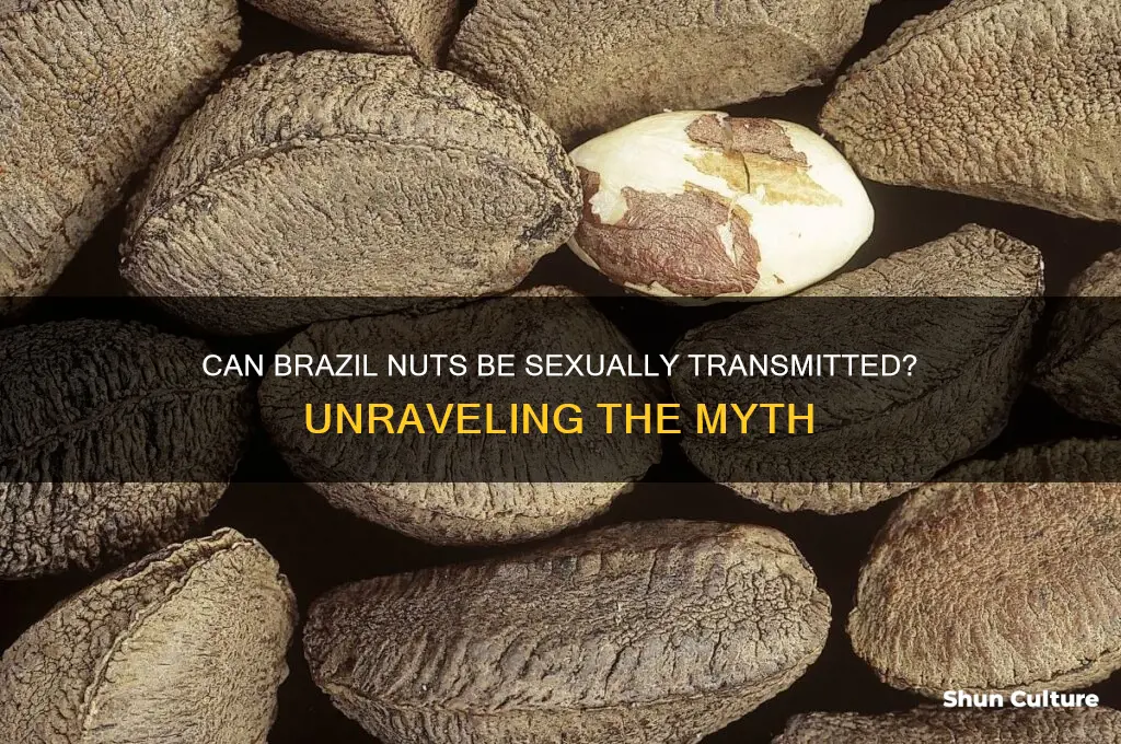 can brazil nuts be sexually transmitted