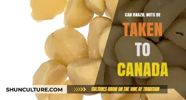 Can Brazil Nuts Travel to Canada? Customs Rules Explained