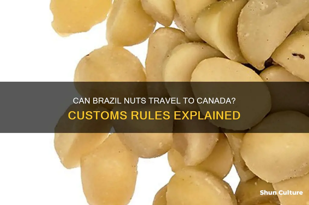 can brazil nuts be taken to canada