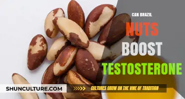 Brazil Nuts and Testosterone: Unlocking the Potential for Men's Health