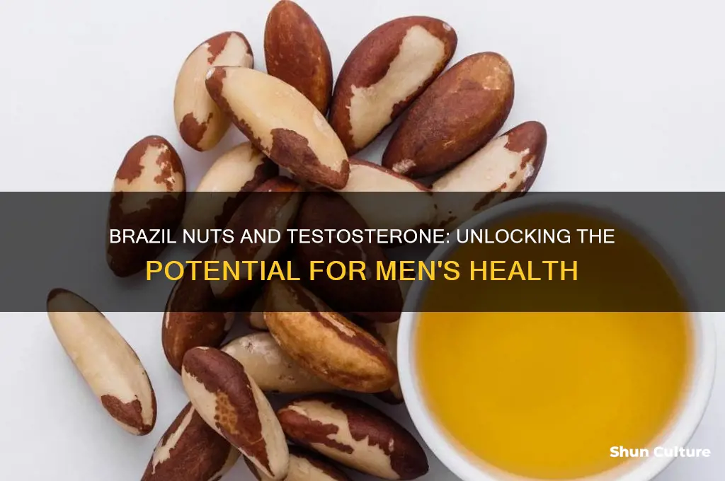 can brazil nuts boost testosterone