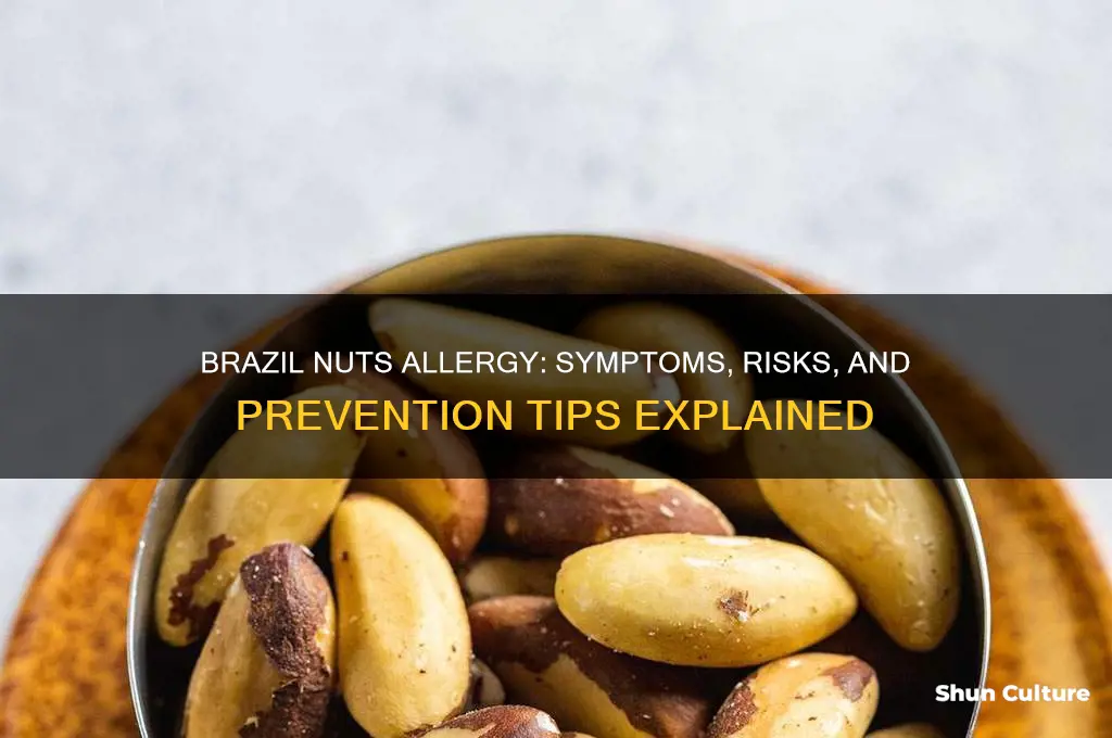 can brazil nuts cause an allergic reaction