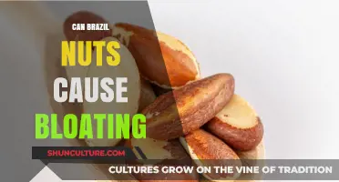 Can Brazil Nuts Cause Bloating? Understanding Digestive Reactions and Tips