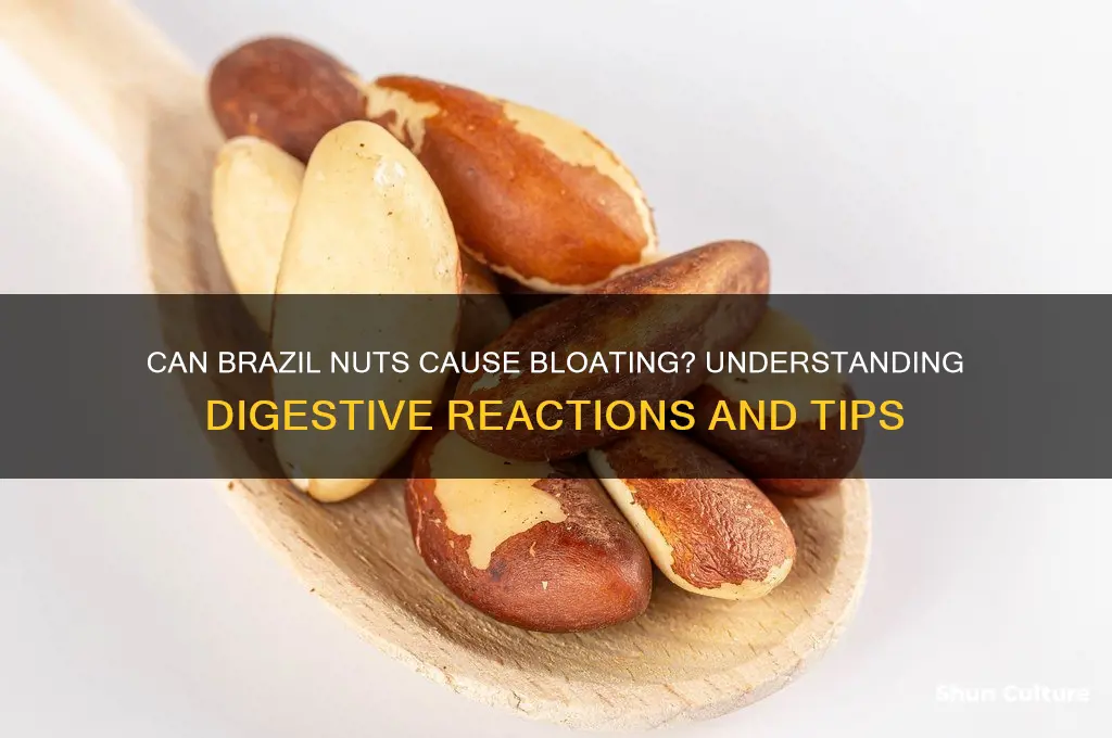can brazil nuts cause bloating