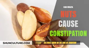 Can Brazil Nuts Cause Constipation? Exploring the Digestive Impact