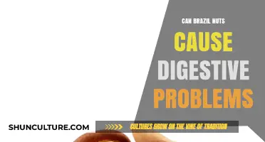 Brazil Nuts and Digestion: Potential Causes of Stomach Discomfort