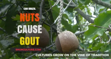 Brazil Nuts and Gout: Uncovering the Truth About Purine Content