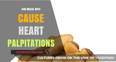 Brazil Nuts and Heart Palpitations: Uncovering the Surprising Connection
