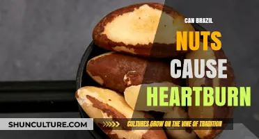 Can Brazil Nuts Trigger Heartburn? Exploring the Surprising Connection