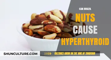 Brazil Nuts and Thyroid Health: Uncovering the Hyperthyroidism Connection