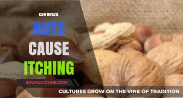 Can Brazil Nuts Cause Itching? Uncovering the Truth Behind the Itch