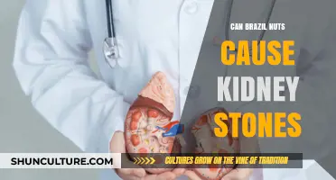 Brazil Nuts and Kidney Stones: Uncovering the Surprising Connection