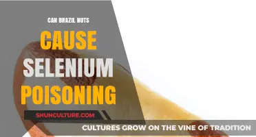 Brazil Nuts and Selenium: Balancing Benefits and Poisoning Risks