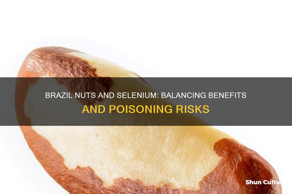 can brazil nuts cause selenium poisoning