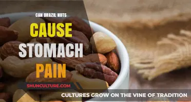 Can Brazil Nuts Cause Stomach Pain? Exploring the Facts and Risks