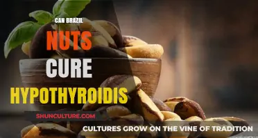 Brazil Nuts and Hypothyroidism: Unlocking the Potential Thyroid Benefits