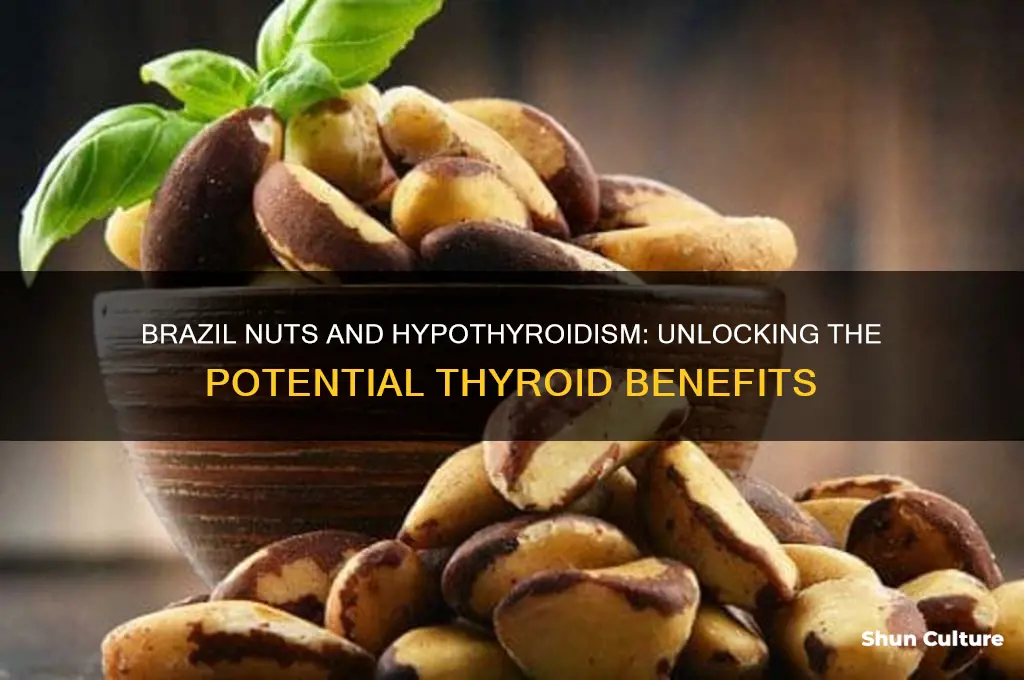 can brazil nuts cure hypothyroidism